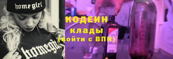 крисы Богородск