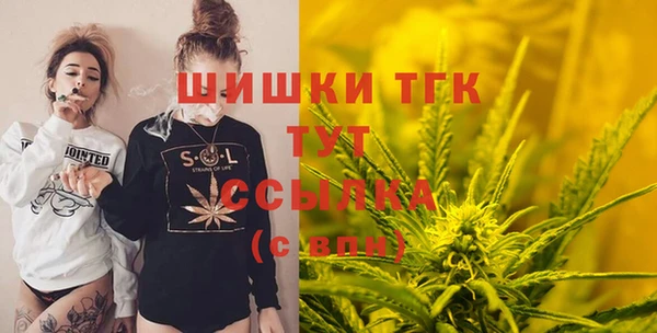 таблы Богородицк