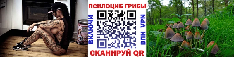 Псилоцибиновые грибы Psilocybine cubensis  Наро-Фоминск 