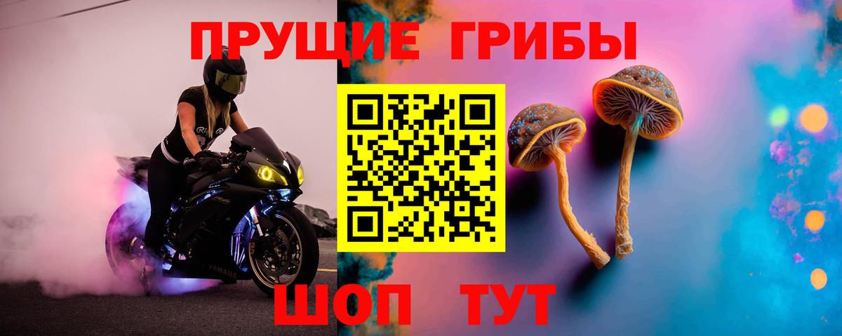 Галлюциногенные грибы Psilocybine cubensis  Псилоцибиновые грибы Magic Shrooms  Вход с VPN  Наро-Фоминск 